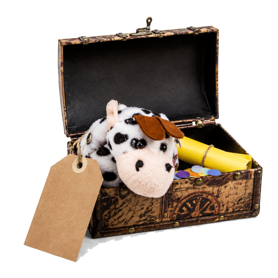 Schatkistje met knuffel